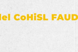 pantalla web CoHiSL FAUD