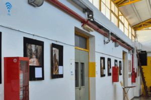1-Muestra_Hall_Investigación